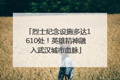烈士纪念设施多达1610处！英雄精神融入武汉城市血脉