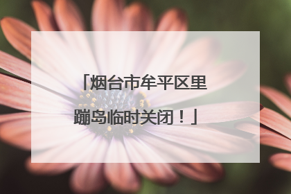 烟台市牟平区里蹦岛临时关闭！