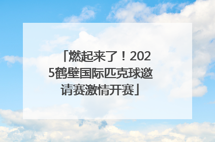 燃起来了！2025鹤壁国际匹克球邀请赛激情开赛