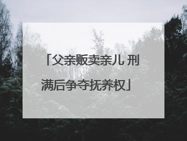 父亲贩卖亲儿 刑满后争夺抚养权