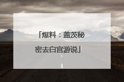 爆料：盖茨秘密去白宫游说