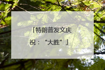 特朗普发文庆祝：“大胜”