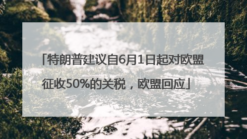 特朗普建议自6月1日起对欧盟征收50%的关税，欧盟回应