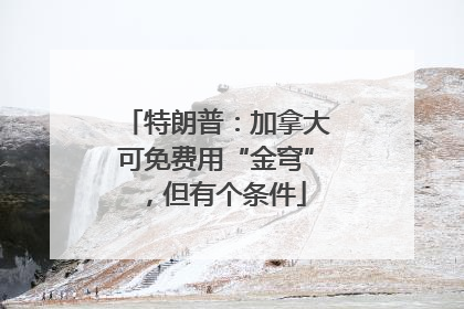 特朗普：加拿大可免费用“金穹”，但有个条件