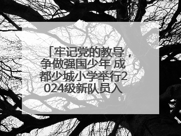 牢记党的教导，争做强国少年 成都少城小学举行2024级新队员入队仪式