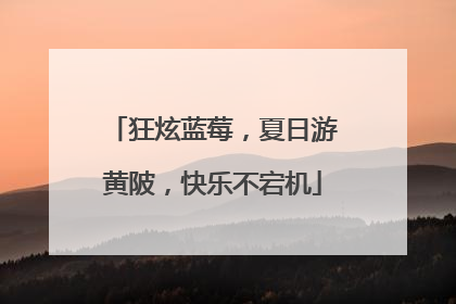 狂炫蓝莓，夏日游黄陂，快乐不宕机