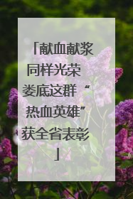 献血献浆同样光荣 娄底这群“热血英雄”获全省表彰