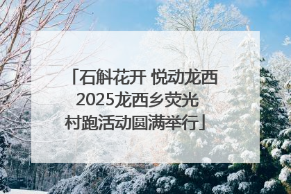 石斛花开 悦动龙西 2025龙西乡荧光村跑活动圆满举行