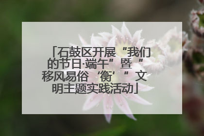 石鼓区开展“我们的节日·端午”暨“移风易俗‘衡’”文明主题实践活动
