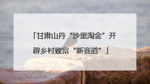 甘肃山丹“沙里淘金”开辟乡村致富“新赛道”