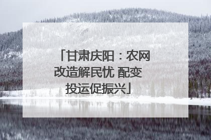 甘肃庆阳：农网改造解民忧 配变投运促振兴