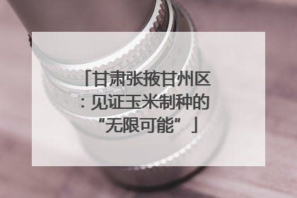 甘肃张掖甘州区：见证玉米制种的“无限可能”