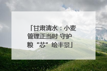 甘肃清水：小麦管理正当时 守护粮“芯”绘丰景