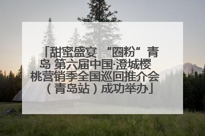 甜蜜盛宴 “圈粉”青岛 第六届中国·澄城樱桃营销季全国巡回推介会（青岛站）成功举办