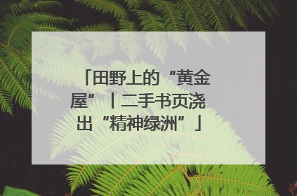 田野上的“黄金屋”丨二手书页浇出“精神绿洲”