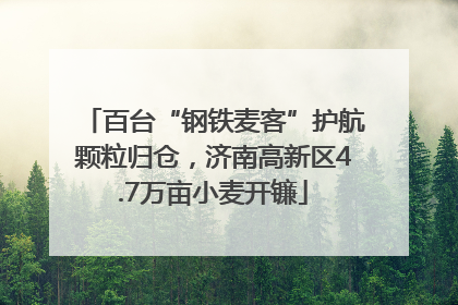 百台“钢铁麦客”护航颗粒归仓，济南高新区4.7万亩小麦开镰