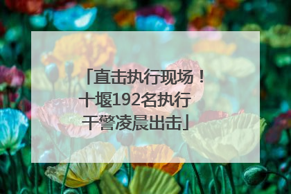 直击执行现场！十堰192名执行干警凌晨出击