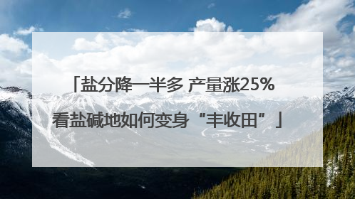 盐分降一半多 产量涨25% 看盐碱地如何变身“丰收田”