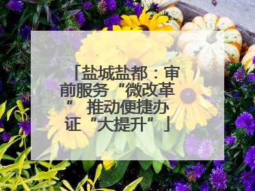 盐城盐都：审前服务“微改革” 推动便捷办证“大提升”