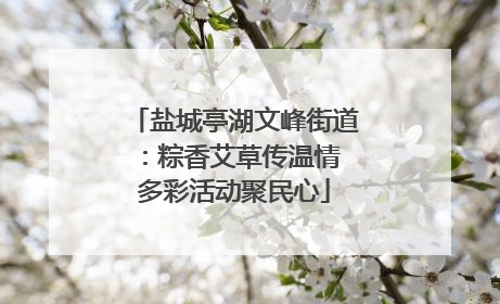 盐城亭湖文峰街道：粽香艾草传温情 多彩活动聚民心