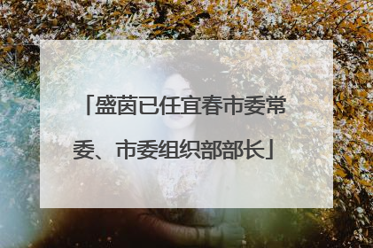 盛茵已任宜春市委常委、市委组织部部长
