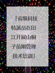 省级科技特派员在印江开展山桐子苗期管理技术培训
