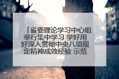 省委理论学习中心组举行集中学习 学好用好深入贯彻中央八项规定精神成效经验 示范带头持续推动全省学习教育走深走实