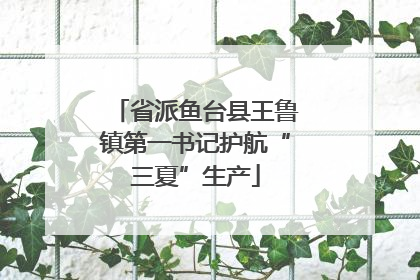 省派鱼台县王鲁镇第一书记护航“三夏”生产