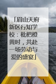 眉山天府新区行知学校：枇杷橙黄时，共赴一场劳动与爱的盛宴
