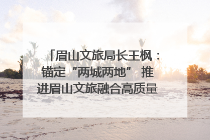 眉山文旅局长王枫：锚定“两城两地” 推进眉山文旅融合高质量发展｜文旅局长说