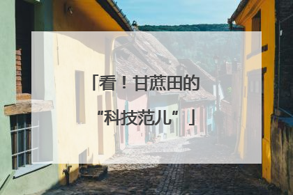 看！甘蔗田的“科技范儿”