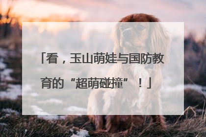 看，玉山萌娃与国防教育的“超萌碰撞”！