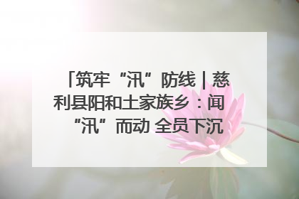 筑牢“汛”防线｜慈利县阳和土家族乡：闻“汛”而动 全员下沉筑牢防汛“安全堤”