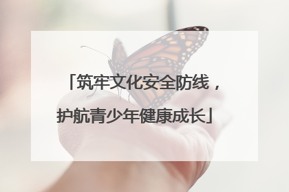 筑牢文化安全防线，护航青少年健康成长