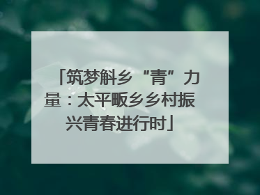 筑梦斛乡“青”力量：太平畈乡乡村振兴青春进行时