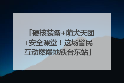 硬核装备+萌犬天团+安全课堂！这场警民互动燃爆地铁台东站