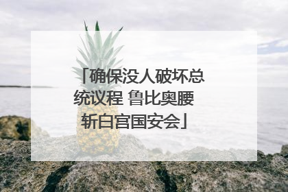 确保没人破坏总统议程 鲁比奥腰斩白宫国安会