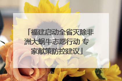 福建启动全省灭除非洲大蜗牛志愿行动 专家献策防控建议