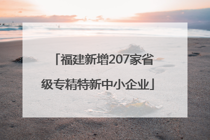福建新增207家省级专精特新中小企业