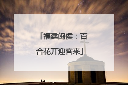 福建闽侯：百合花开迎客来