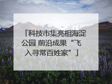 科技市集亮相海淀公园 前沿成果“飞入寻常百姓家”
