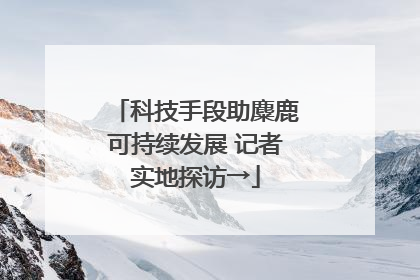 科技手段助麋鹿可持续发展 记者实地探访→