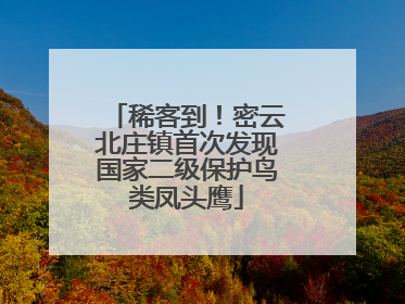 稀客到！密云北庄镇首次发现国家二级保护鸟类凤头鹰