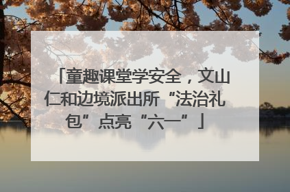 童趣课堂学安全，文山仁和边境派出所“法治礼包”点亮“六一”
