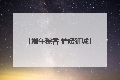 端午粽香 情暖狮城