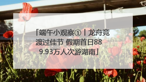端午小观察①丨龙舟竞渡过佳节 假期首日889.93万人次游湖南