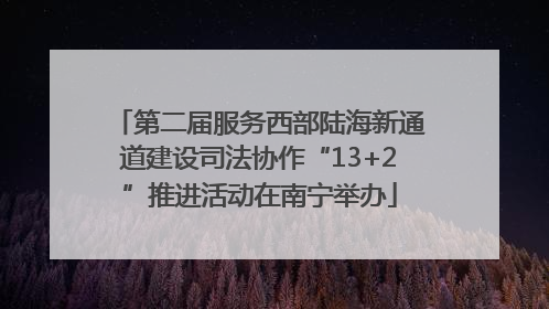 第二届服务西部陆海新通道建设司法协作“13+2”推进活动在南宁举办