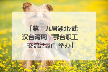 第十九届湖北·武汉台湾周“鄂台职工交流活动”举办