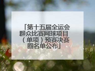 第十五届全运会群众比赛网球项目（单项）预赛决赛圈名单公布