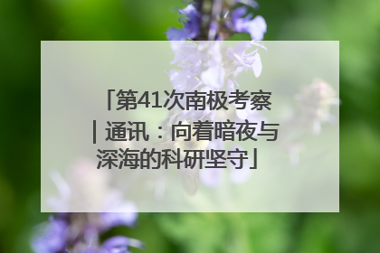 第41次南极考察｜通讯：向着暗夜与深海的科研坚守